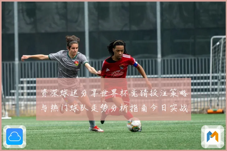 资深球迷分享世界杯竞猜投注策略与热门球队走势分析指南今日实战