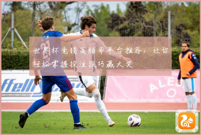 世界杯竞猜高赔率平台推荐，让你轻松掌握投注技巧赢大奖