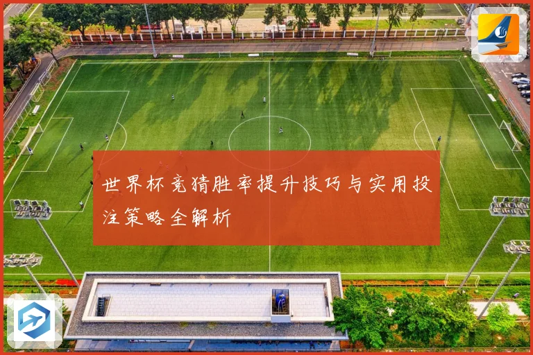 世界杯竞猜胜率提升技巧与实用投注策略全解析